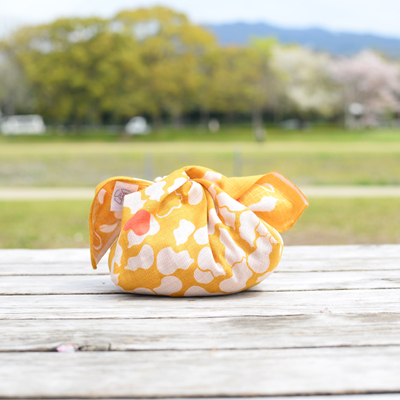 ���ʲ���2